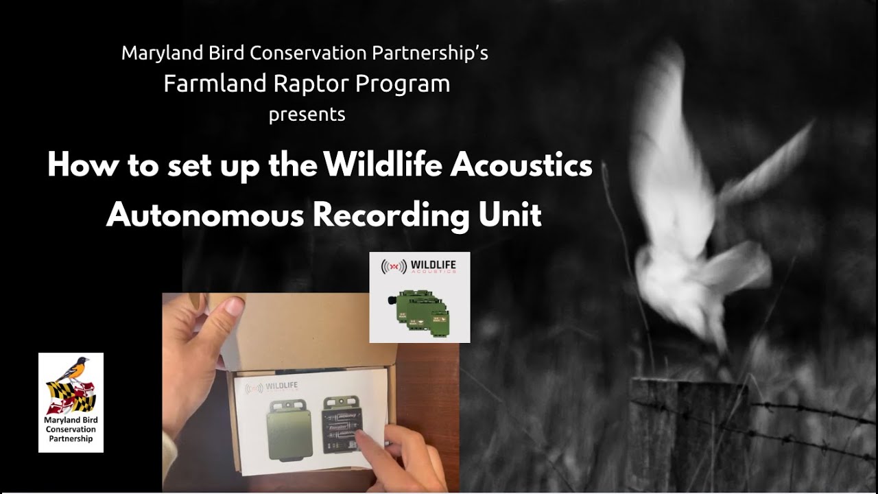 How to Set Up an Autonomous Recording Unit (ARU) - YouTube