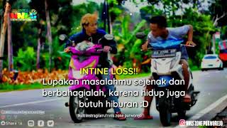 Story wa babylook