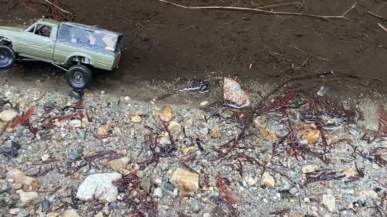 Orlandoo hunter river trail