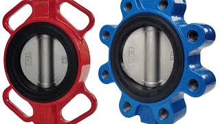 Wafer Vs Lug Erfly Valve