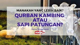 Sketsa Tanya Jawab: Kurban Kambing Atau Sapi Patungan? - Ustadz Abu Yahya Badru Salam, Lc.