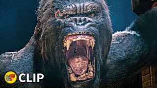 Kong's Rampage Scene | King Kong (2005) Movie Clip HD 4K