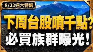 【不用擔心！】AI泡沫台股會跌破4萬？這族群會發大財！ (有字幕好幸福) 2026.08.22