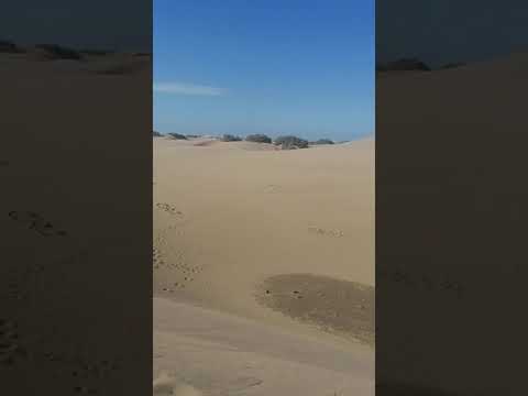 Video: Počitnice V Španiji: Maspalomas