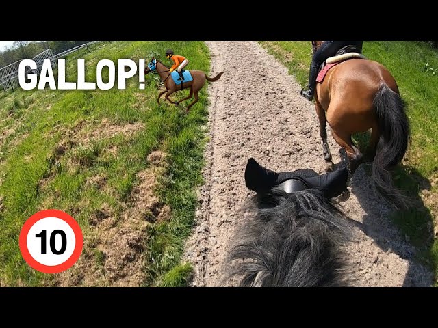 OUR FIRST GALLOP 🏇 | GOPRO class=