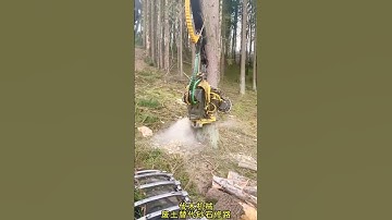 Logging machinery excavator, construction machinery, live shooting, time to show real technology
