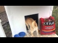 Winter Proof Dog House Winter Proof Dog House