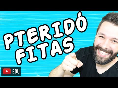 Vídeo: Por que as pteridófitas são chamadas de criptógamas vasculares?