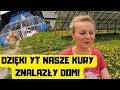 Widzowie kupuj nasze kury i kurczaki spotkanie mini ranczo i ogrd na polu