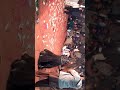 Mehak malik chand zameen pe aya ha dance
