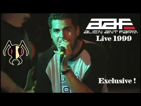 Доклад: Alien ant farm