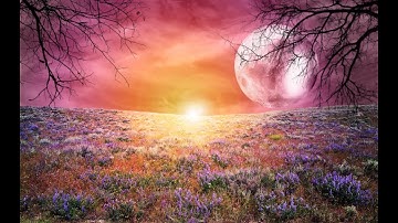 ( ثلاث أرباع الحزب 57 ) سورة المعارج الآية 19 إلى 44 ، سورة نوح ، القارئ محمد خليل القارئ
