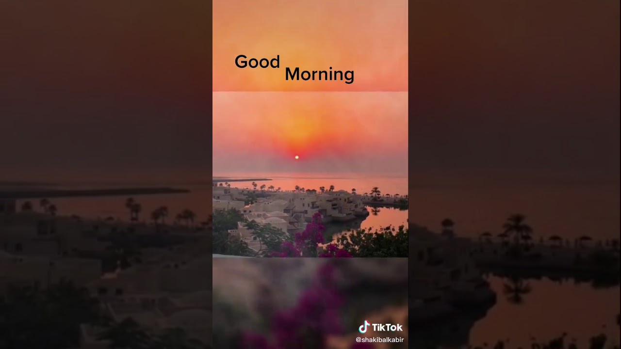 February 17 2020 YouTube february-17-2020-youtube