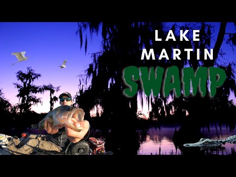 Vídeo: Visitando o pântano do Lago Martin na Louisiana