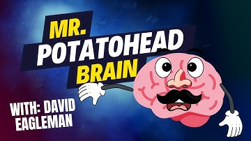 The Brain as a Mr. Potato Head | David Eagleman TED Talk | Whiteboard Animation