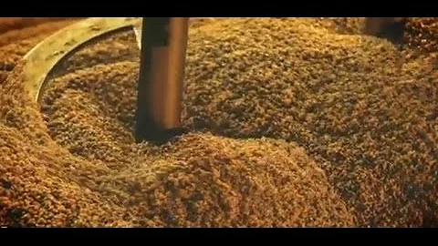 Quali sono le birre industriali?