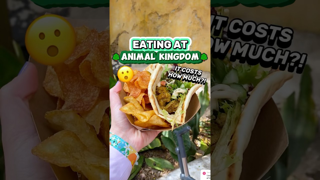 How Much it COSTS to Eat at Animal Kingdom! 😵🌳 (Disney Dining for a Day)