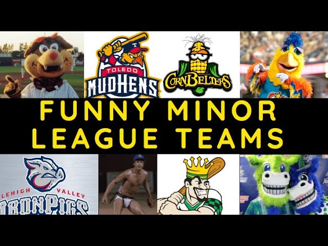 Can-Am League Merges Into Frontier League, More Opportunities than