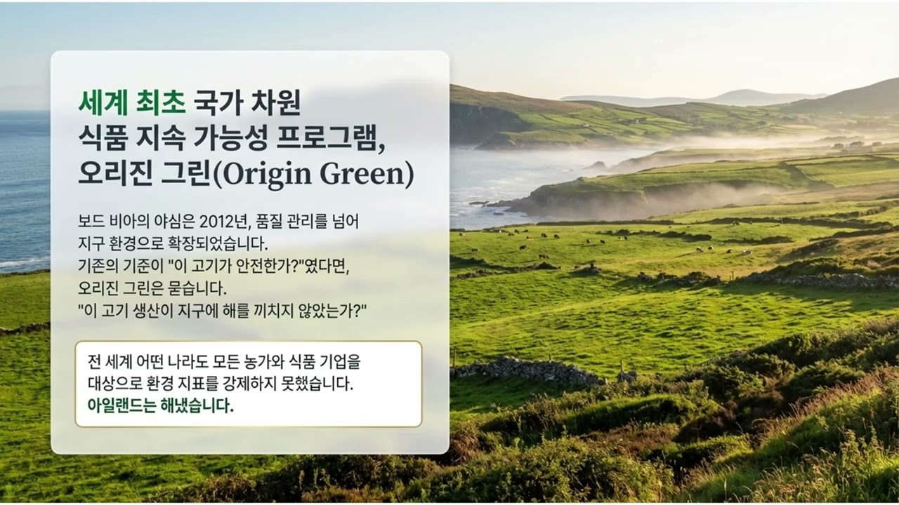 초록섬의 약속 2 3 1 아일랜드 보드 비아 세계 최고의 소고기 품질 보증 시스템