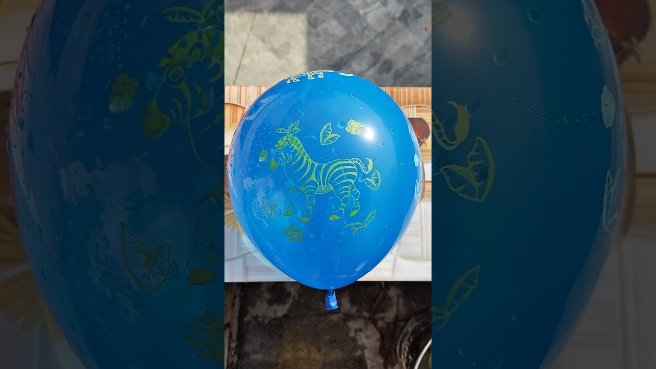 Experiment: Water Balloon Drop from Rooftop 💦Blue Vs Green Zebra Baloon pop 