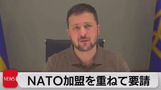 ゼレンスキー大統領NATO加盟を重ねて要請（2023年6月30日）