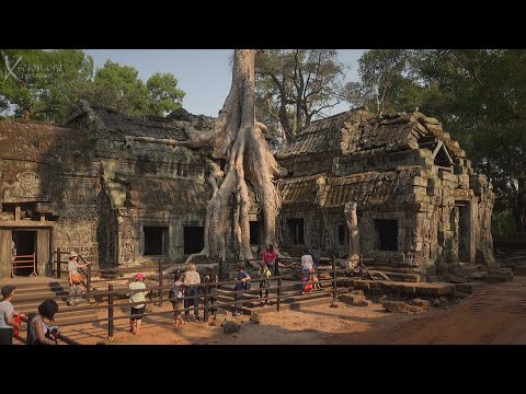 Video: Ta Prohm är Ett Tempel Som Upptäcktes I Djungeln I Kambodja Med Konstiga Basreliefer - Alternativ Vy