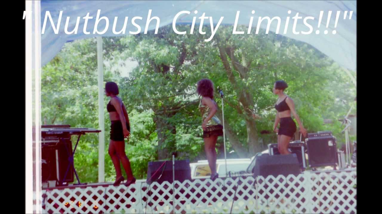 Tennessee Business Search >> Nutbush/Tina Turner Fans visiting Nutbush, Tennessee Vol ... Tennessee Business Search >> Nutbush/Tina Turner Fans visiting Nutbush, Tennessee Vol ...