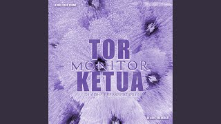Download Lagu Tor Monitor Ketua (DJ Adhe Breakbeat Mix)