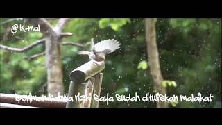 Story WA / Rejeki tak akan tertukar / Ustadz Abdul Somad