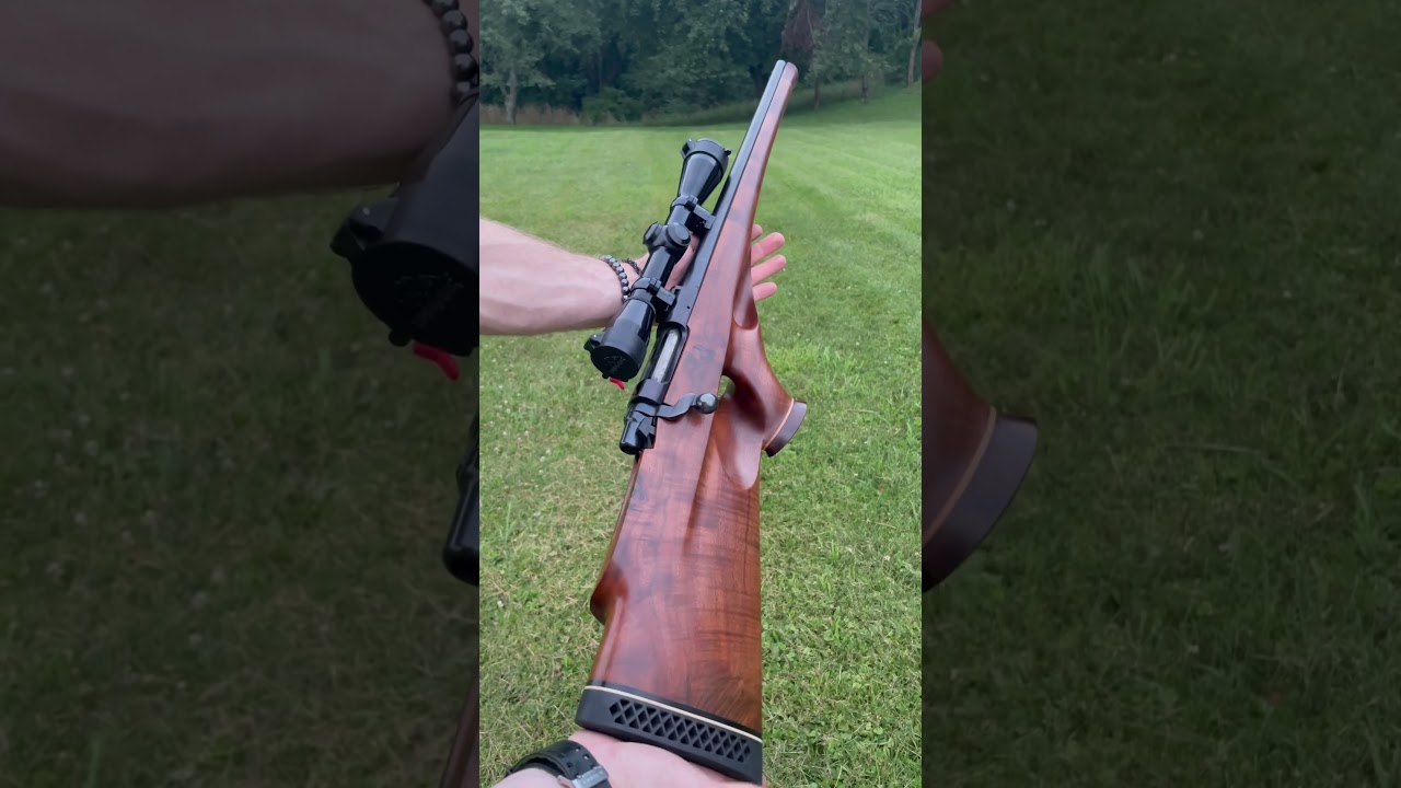 Are these custom bullpups cringe or classy?