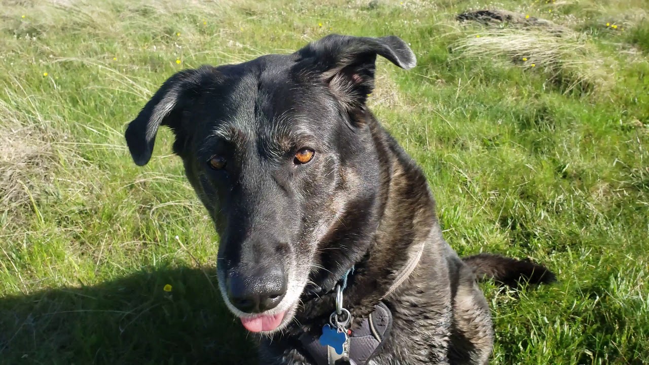Lee Valley Reservoir YouTube