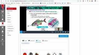 Arc Videos in Canvas