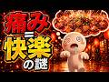 なぜ激辛を求めるのか？脳科学が暴く『エンドルフィン』と健康への本当の影響