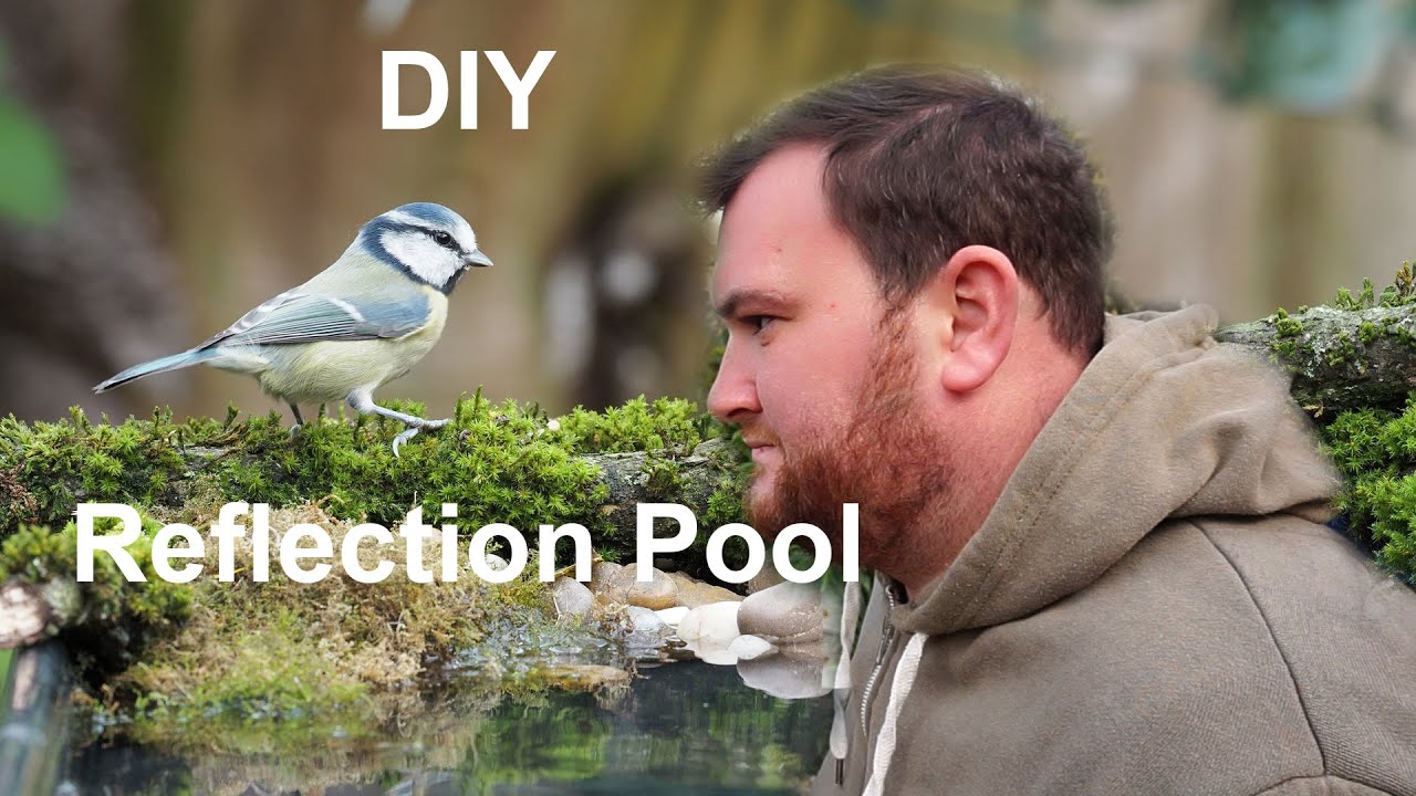 Wildlife Photography | DIY reflection pool | Olympus 2020