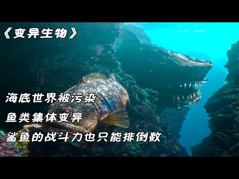 海底世界被污染，变异后的鲨鱼战斗力也只能排倒数