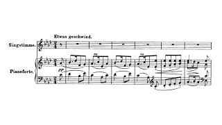 Lachen und Weinen, D.777 - F. Schubert (piano / KARAOKE, Accompaniment, Mr, 반주)
