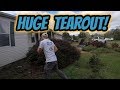HUGE Shrub Tearout! | Tree Removal