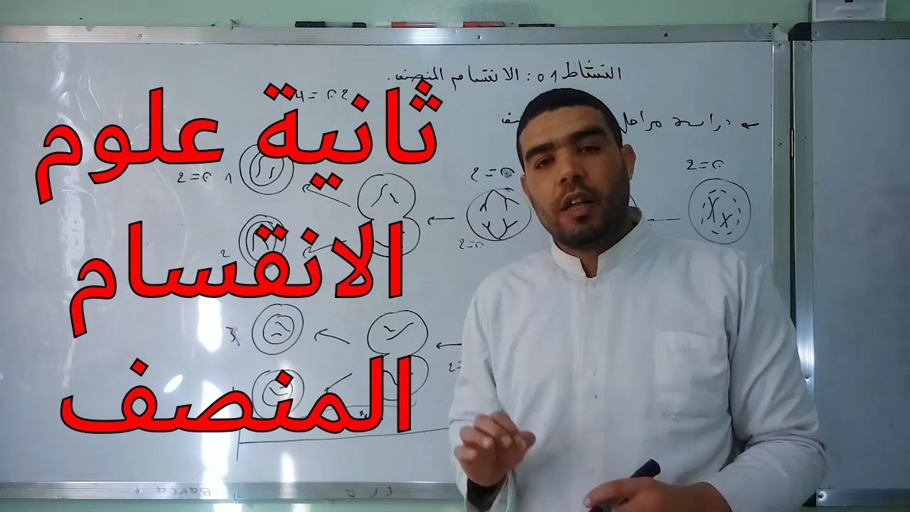 الحصة 29: الانقسام المنصف (دراسة مراحل الانقسام المنصف)