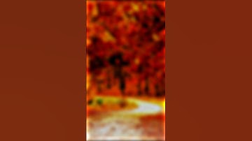 𝗛𝗼𝘄 𝗧𝗼 𝗠𝗮𝗸𝗲 𝗖𝗹𝗮𝗿𝗶𝗻𝗲𝘁 𝗩𝗼𝗰𝗼𝗱𝗲𝗿 𝗼𝗻 𝗔𝗻𝗱𝗿𝗼𝗶𝗱?