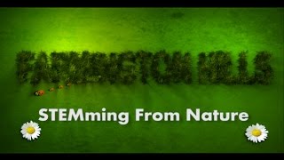 STEMming from Nature "Ecotelligent Homes"