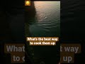 Fish or is it? Had me fooled in the dark