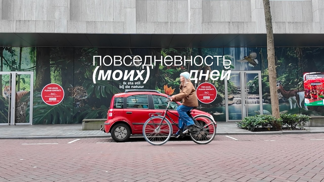 Несколько зимних дней из моей жизни - прогулки в Утрехте и Роттердаме, хандрю, крашу стену, гуляю