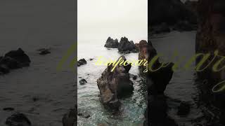 Focus On Things Above