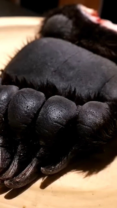 BEAR PAW MEAT | JAPANESE FOOD #exoticfoods #cooking