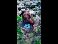 هاني شاكر من بين ألف ضحكة وضحكة بعشق ضحكتك