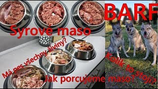 BARF - Jak krmíme my