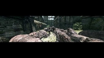 Skyrim Walrus Invasion! Max Settings with Triple Monitor (HD)