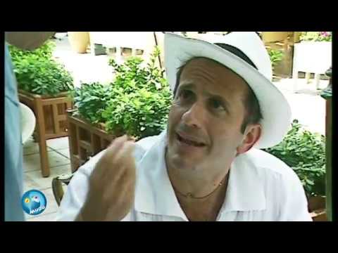 Mudù - Parla l'inglese