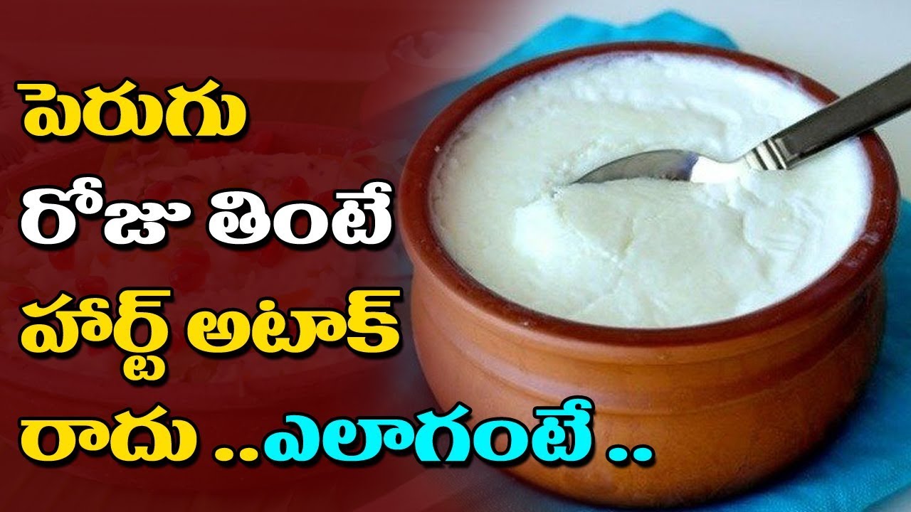 పెరుగు రోజు తింటే హార్ట్ అటాక్ రాదు ..ఎలాగంటే .. something special traduction