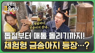 🪚톱질부터 매통 돌리기까지! 체험형 금송아지 등장…? | 우리 집 금송아지 104회 다시보기